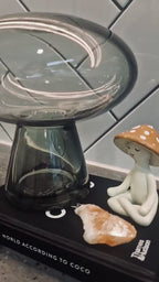 Video of Statera MOKA packaging