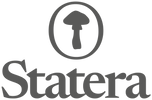 Statera_Logo_Primary_Grey_RGB.png